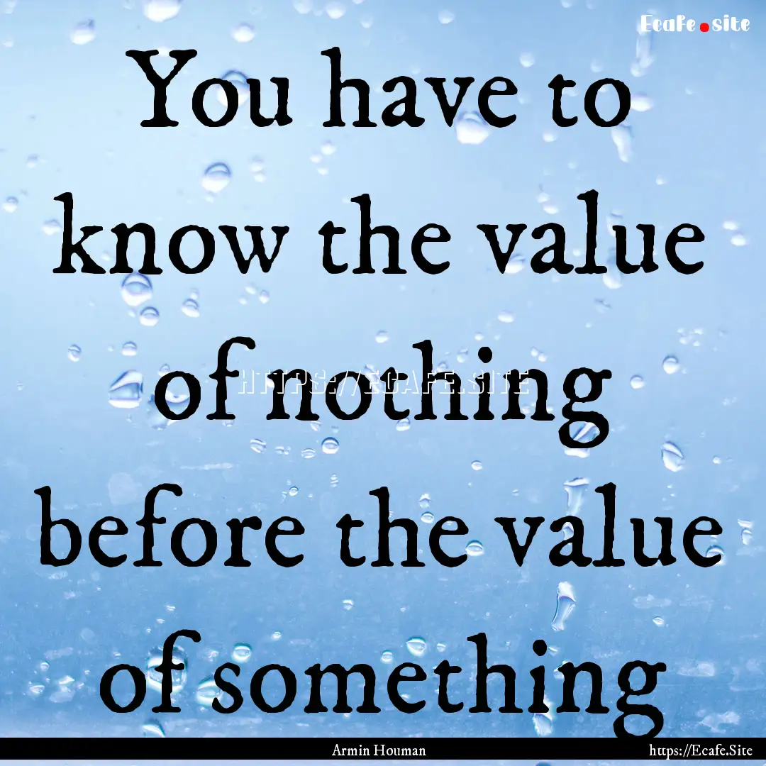 You have to know the value of nothing before.... : Quote by Armin Houman