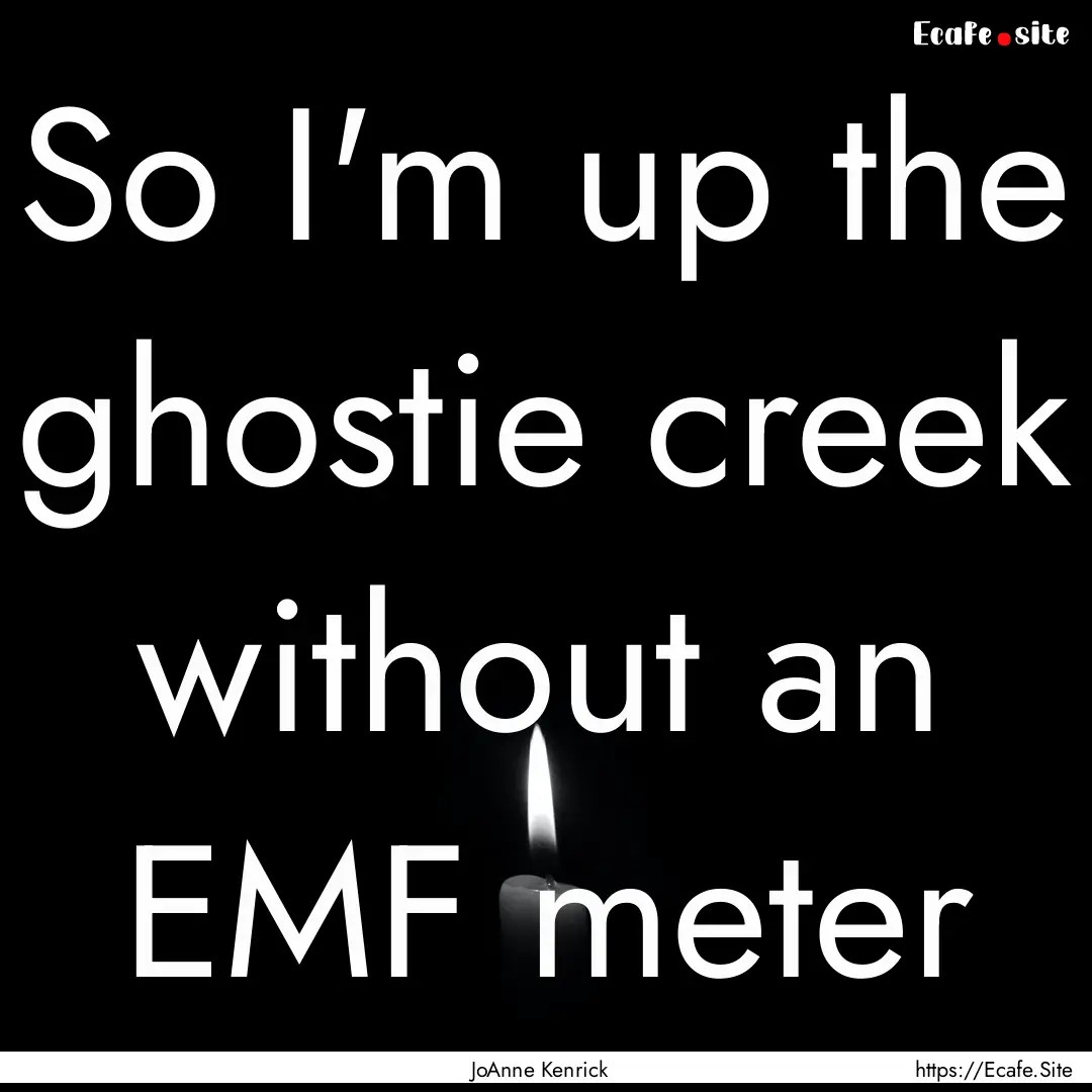 So I'm up the ghostie creek without an EMF.... : Quote by JoAnne Kenrick