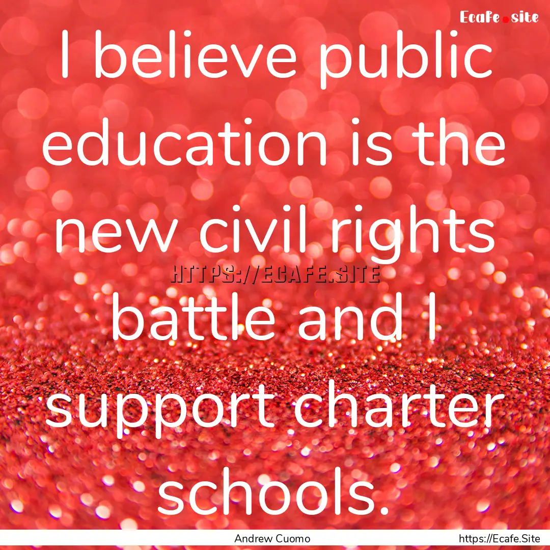 I believe public education is the new civil.... : Quote by Andrew Cuomo