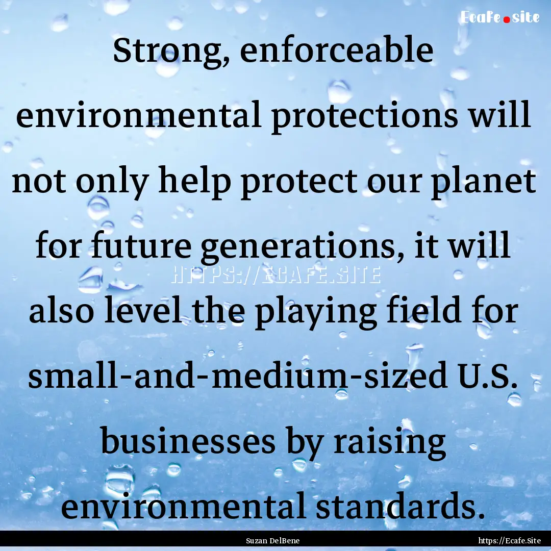 Strong, enforceable environmental protections.... : Quote by Suzan DelBene