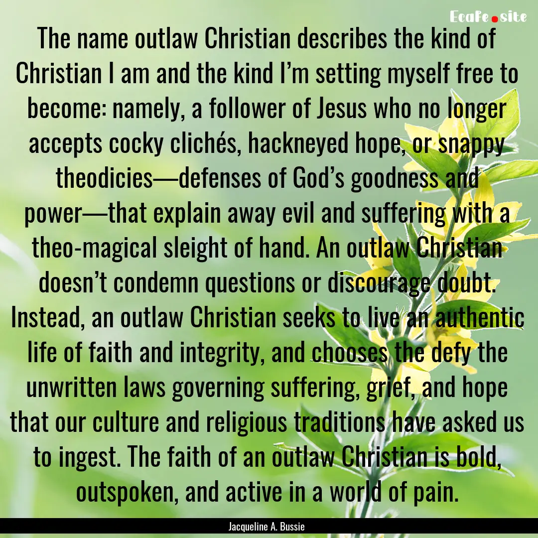 The name outlaw Christian describes the kind.... : Quote by Jacqueline A. Bussie