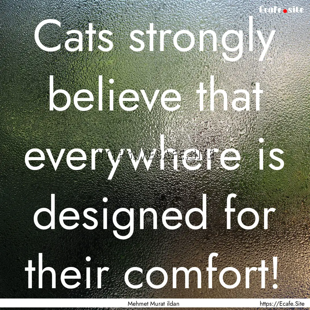 Cats strongly believe that everywhere is.... : Quote by Mehmet Murat ildan