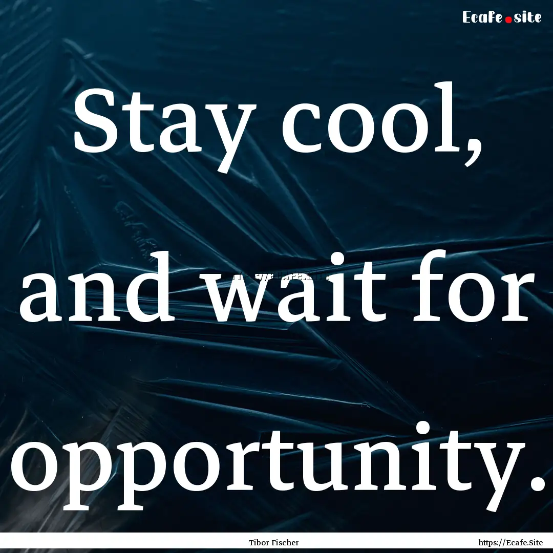 Stay cool, and wait for opportunity. : Quote by Tibor Fischer