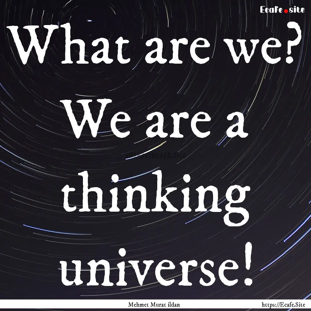 What are we? We are a thinking universe! : Quote by Mehmet Murat ildan