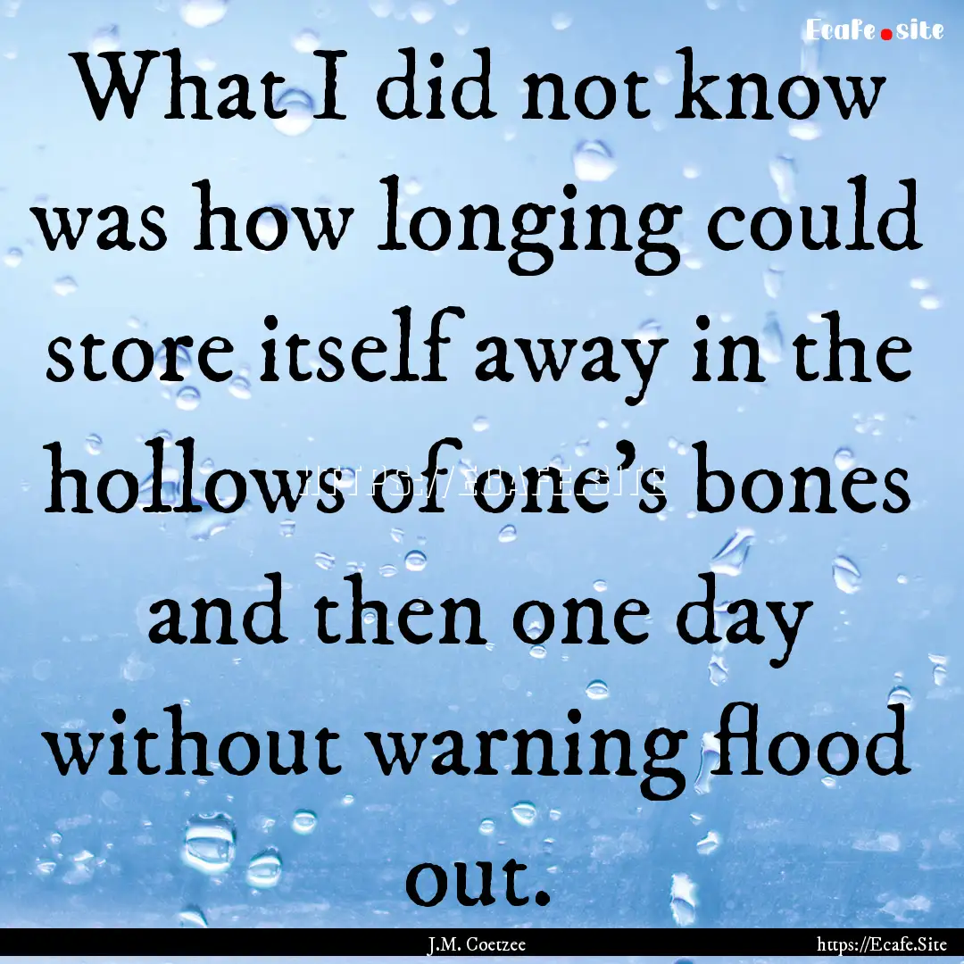 What I did not know was how longing could.... : Quote by J.M. Coetzee