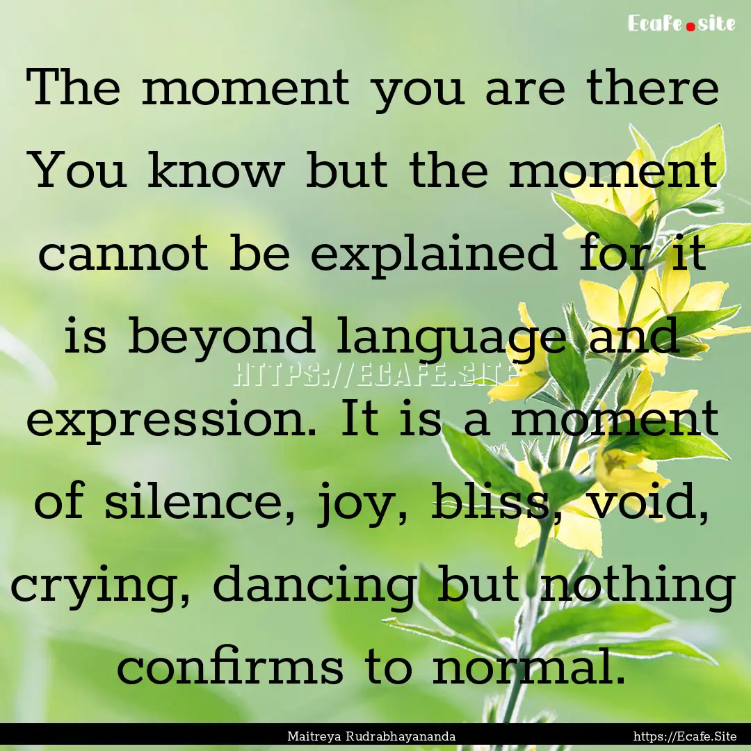 The moment you are there You know but the.... : Quote by Maitreya Rudrabhayananda