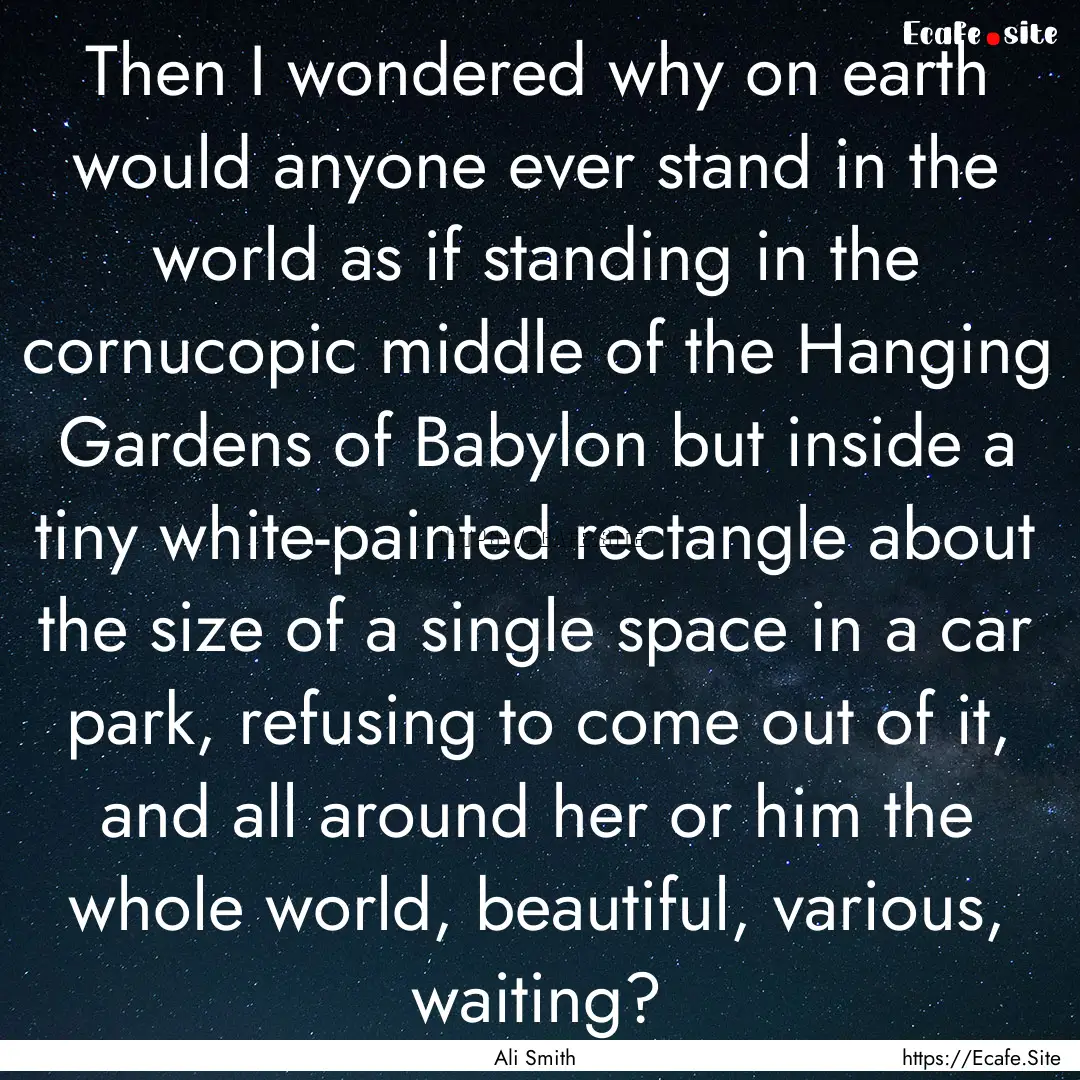 Then I wondered why on earth would anyone.... : Quote by Ali Smith