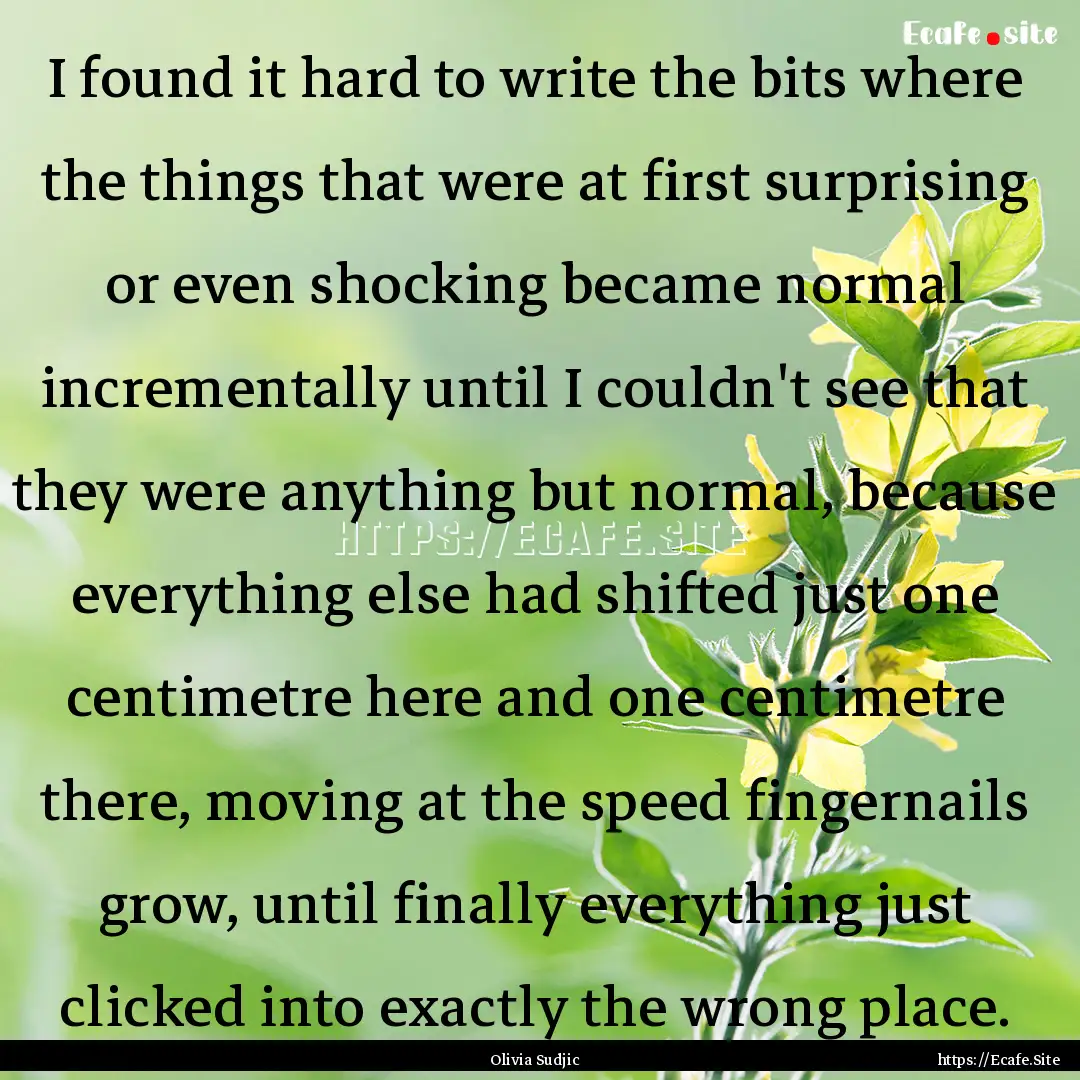 I found it hard to write the bits where the.... : Quote by Olivia Sudjic