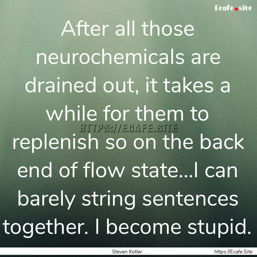 After all those neurochemicals are drained.... : Quote by Steven Kotler