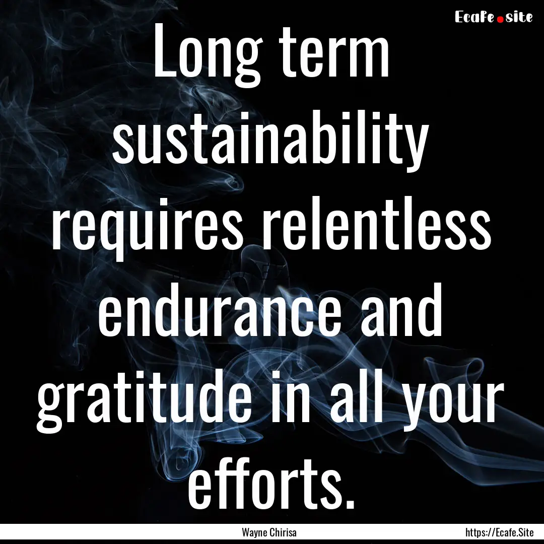 Long term sustainability requires relentless.... : Quote by Wayne Chirisa