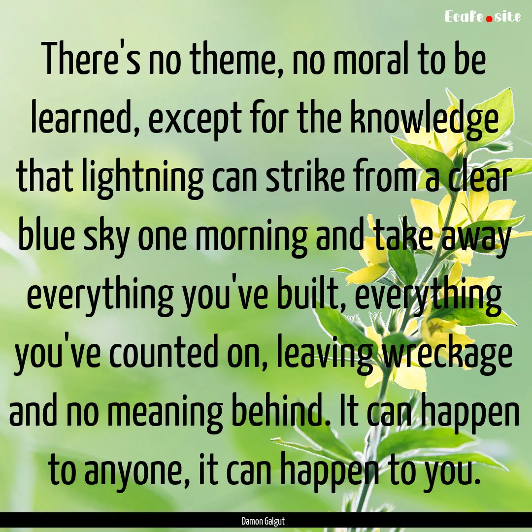 There's no theme, no moral to be learned,.... : Quote by Damon Galgut