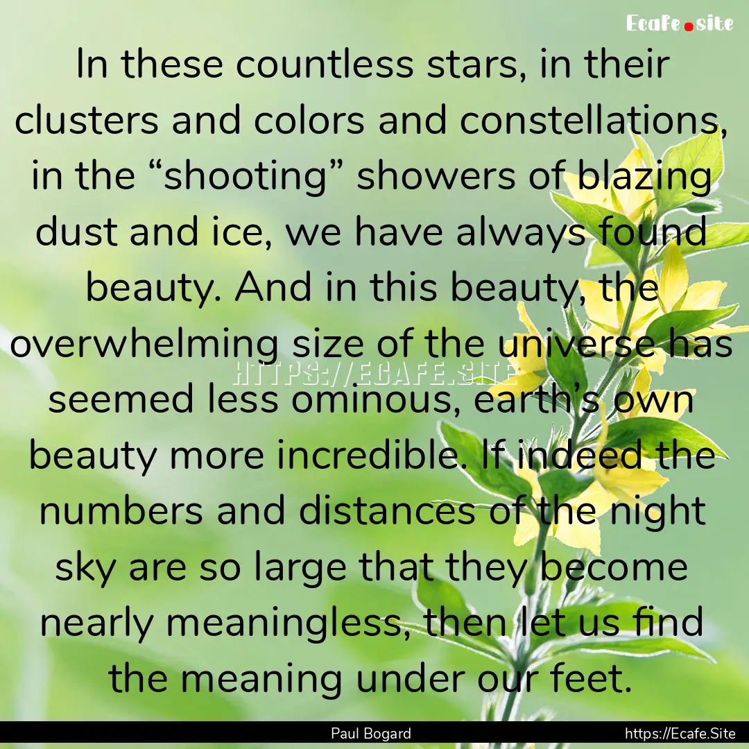 In these countless stars, in their clusters.... : Quote by Paul Bogard