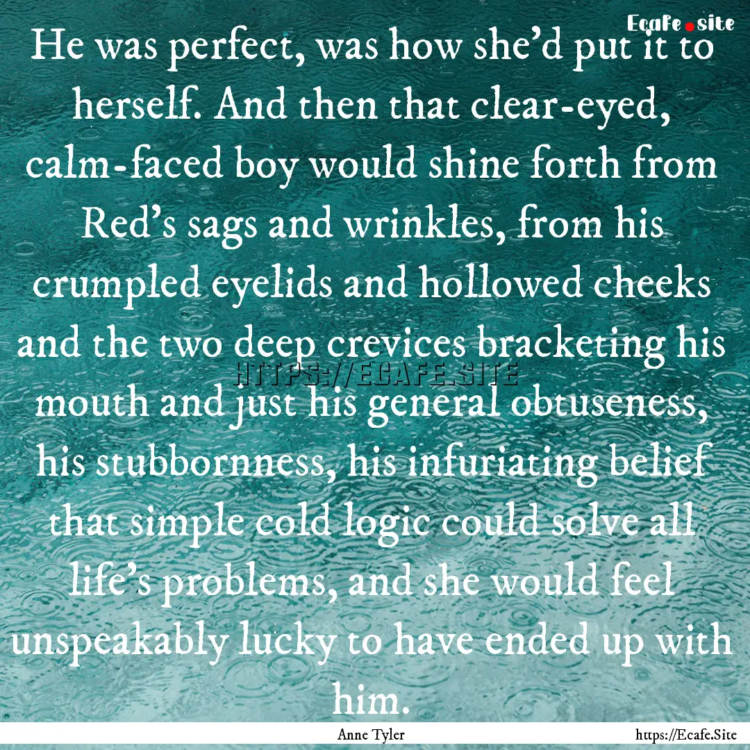 He was perfect, was how she'd put it to herself..... : Quote by Anne Tyler