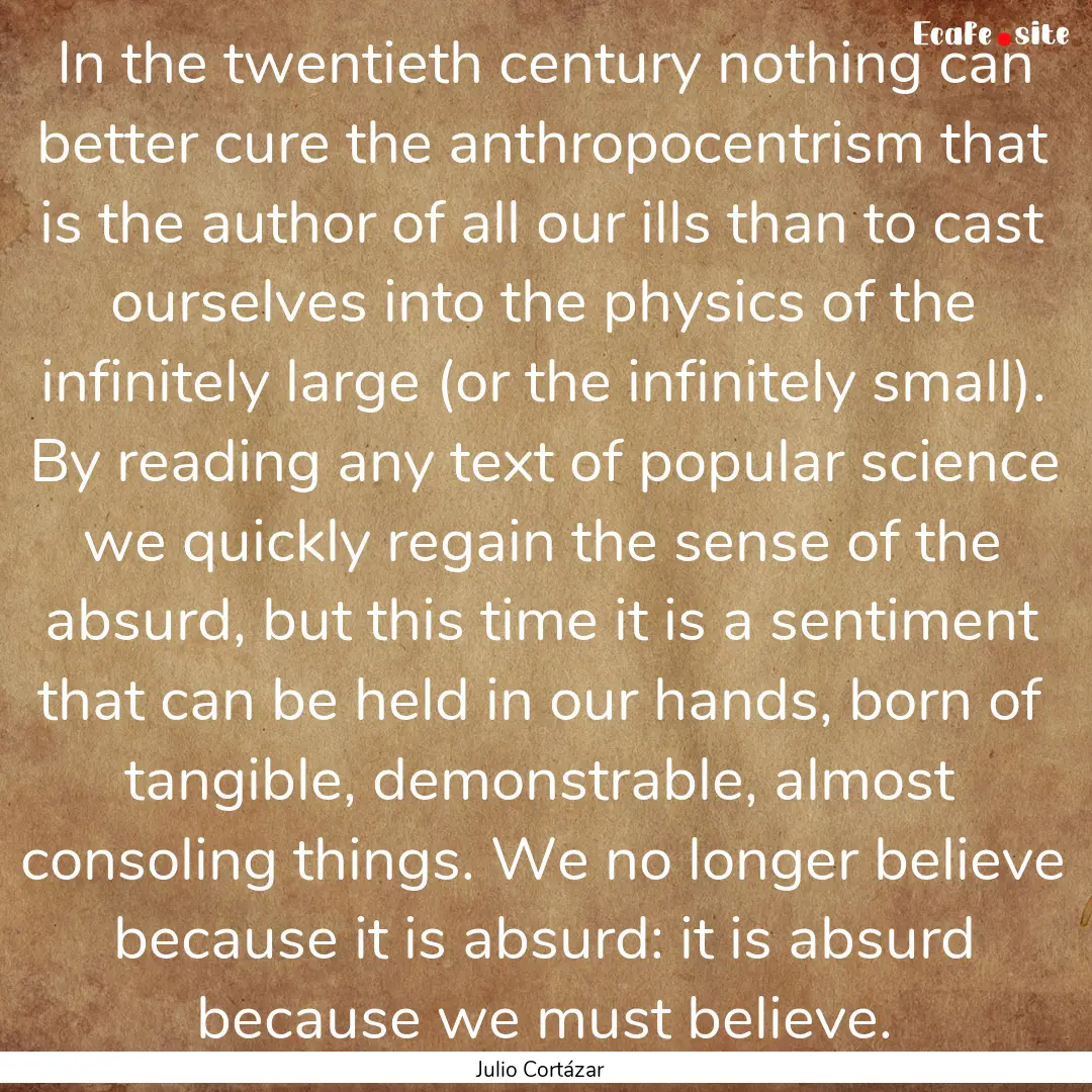 In the twentieth century nothing can better.... : Quote by Julio Cortázar