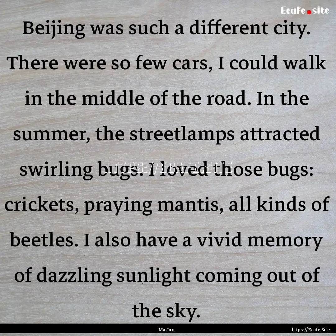 Beijing was such a different city. There.... : Quote by Ma Jun