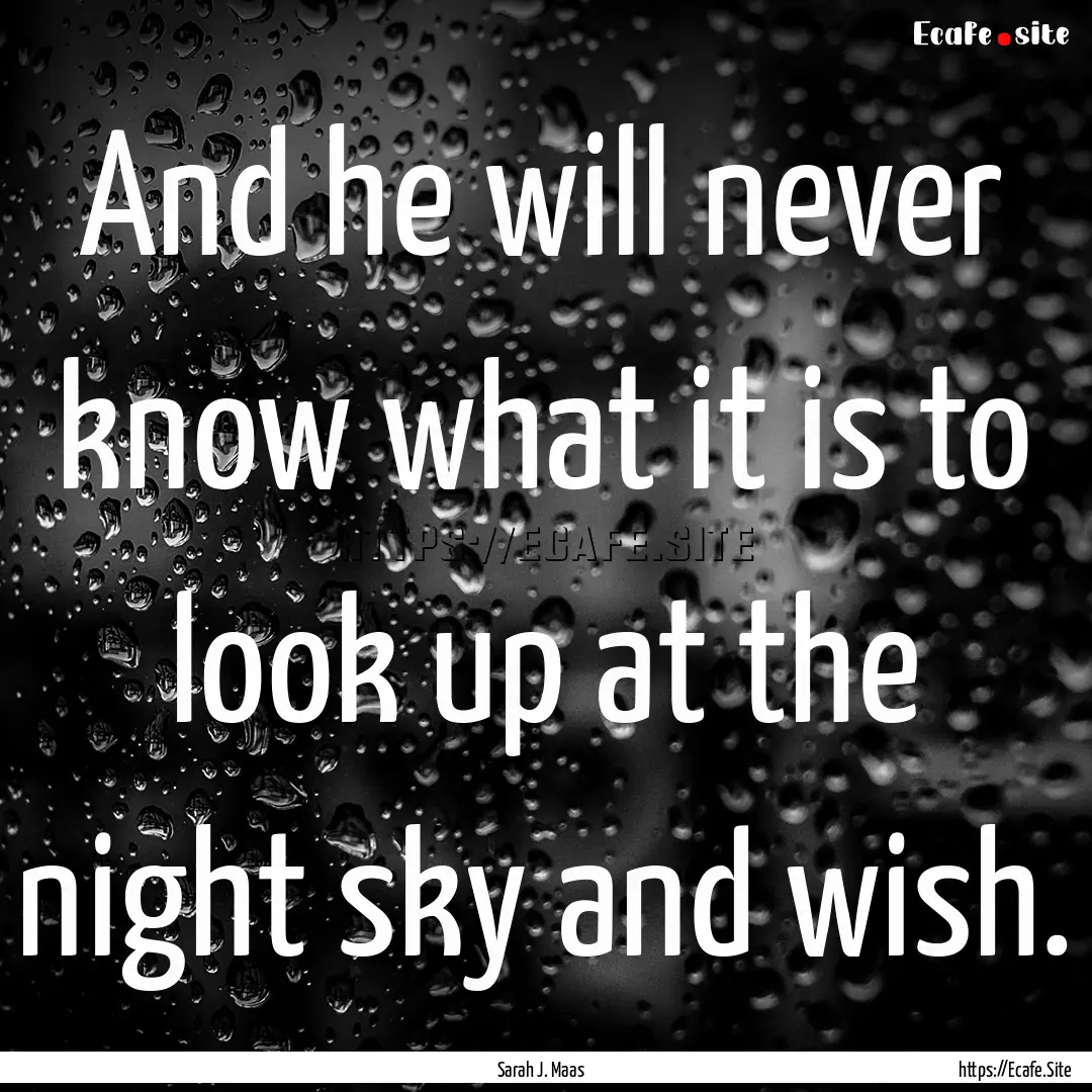 And he will never know what it is to look.... : Quote by Sarah J. Maas