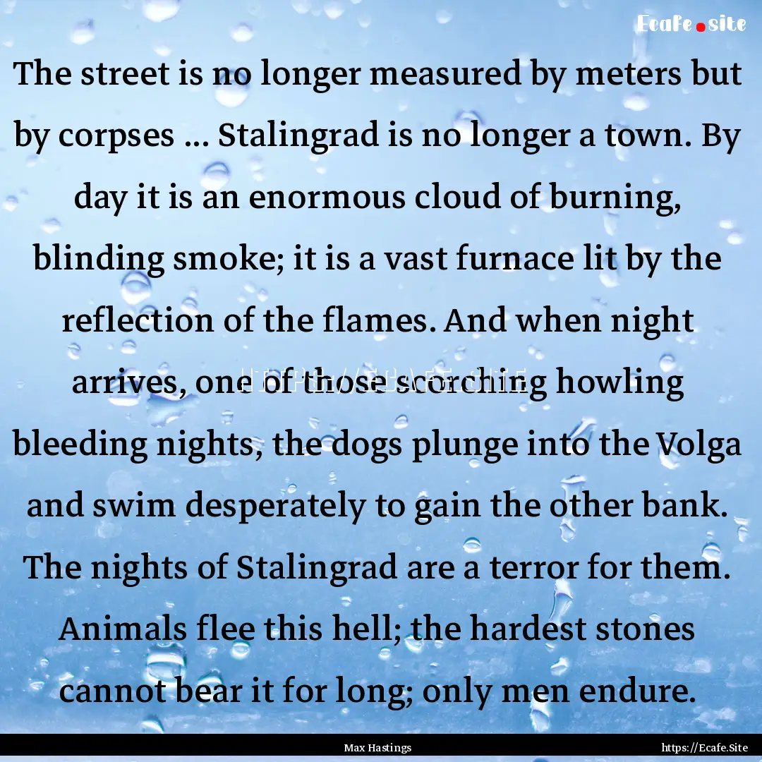 The street is no longer measured by meters.... : Quote by Max Hastings