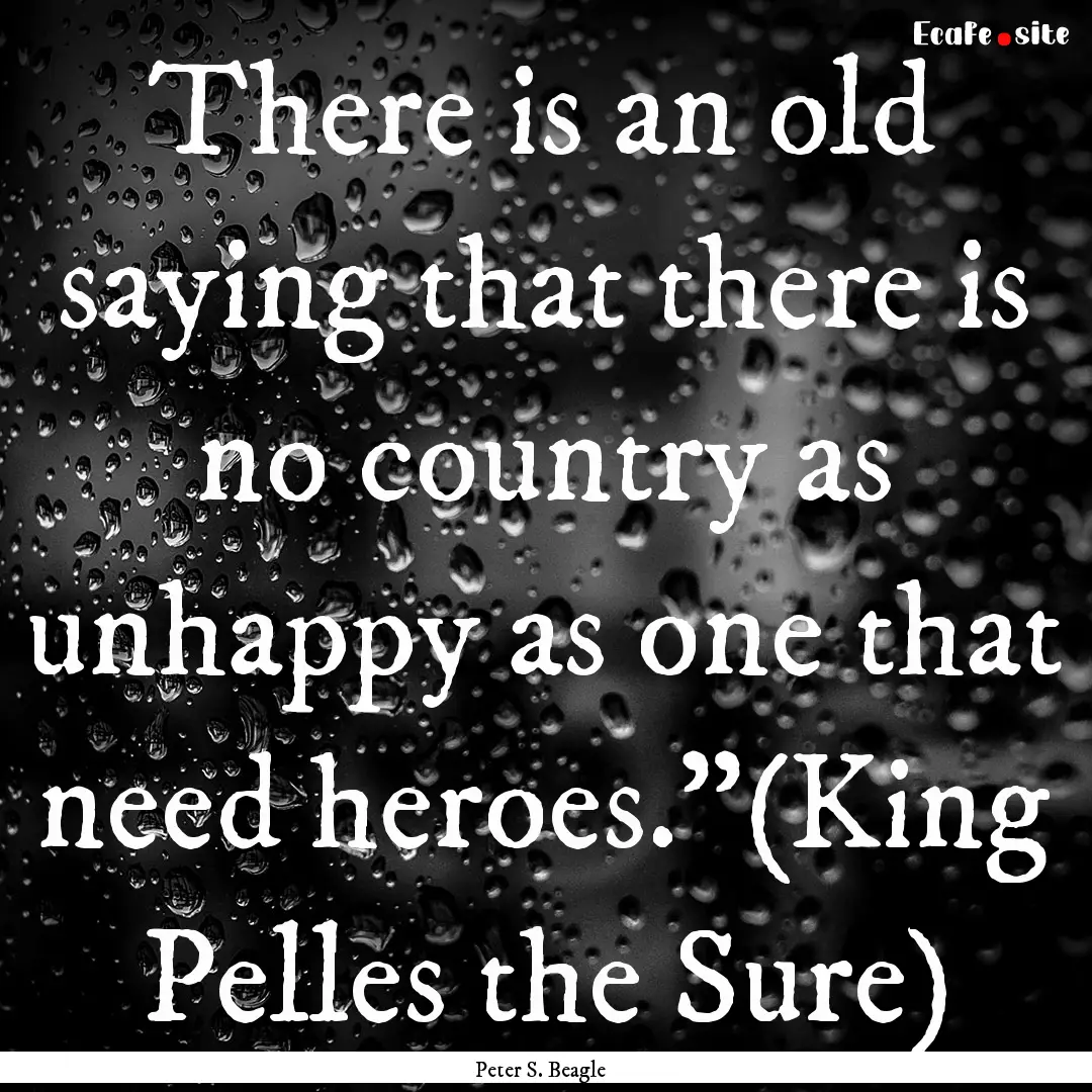 There is an old saying that there is no country.... : Quote by Peter S. Beagle