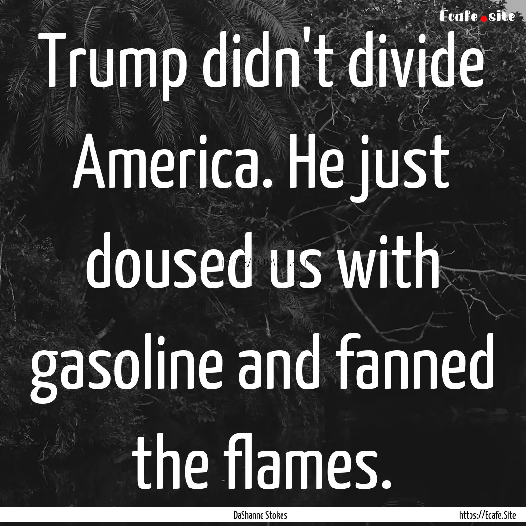 Trump didn't divide America. He just doused.... : Quote by DaShanne Stokes