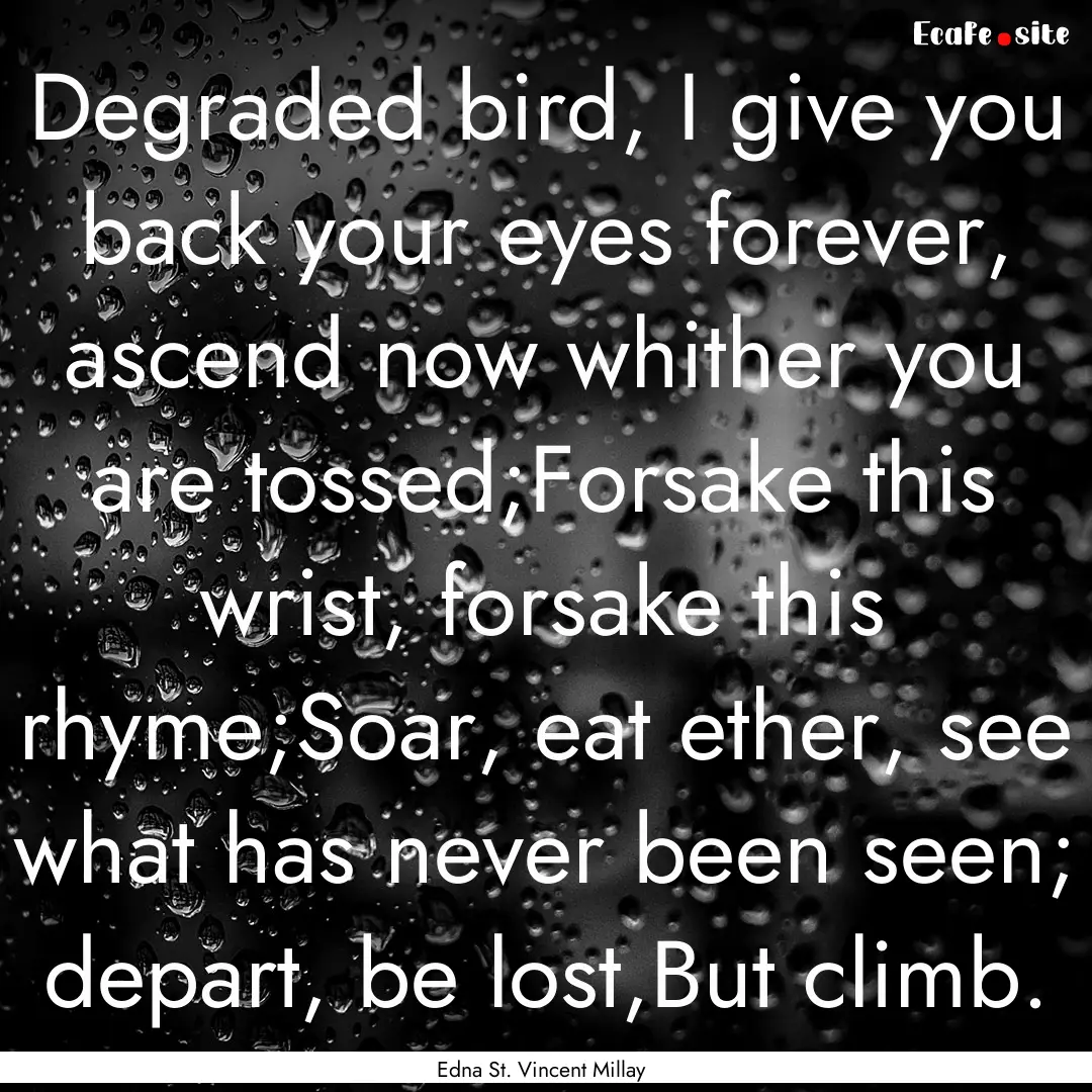 Degraded bird, I give you back your eyes.... : Quote by Edna St. Vincent Millay