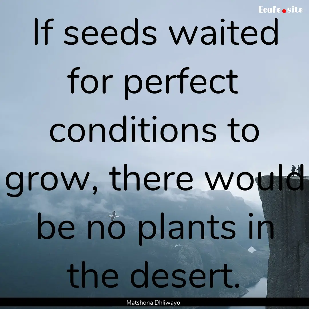 If seeds waited for perfect conditions to.... : Quote by Matshona Dhliwayo