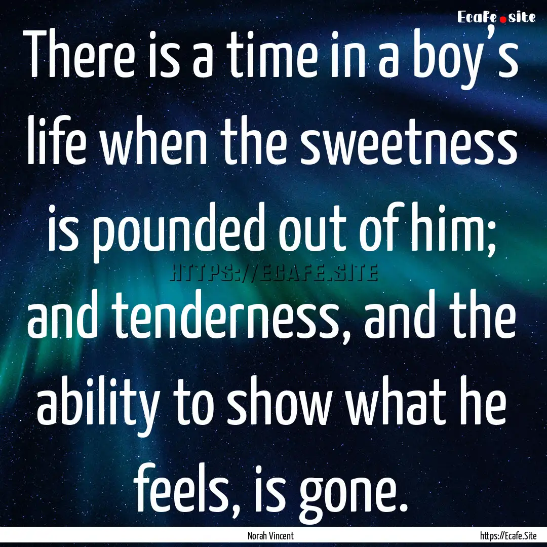 There is a time in a boy’s life when the.... : Quote by Norah Vincent