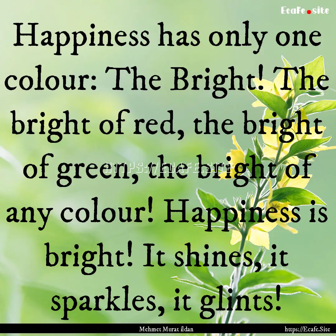 Happiness has only one colour: The Bright!.... : Quote by Mehmet Murat ildan