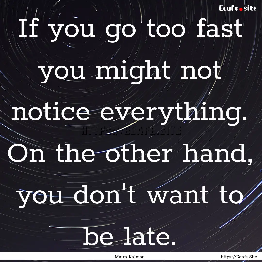 If you go too fast you might not notice everything..... : Quote by Maira Kalman