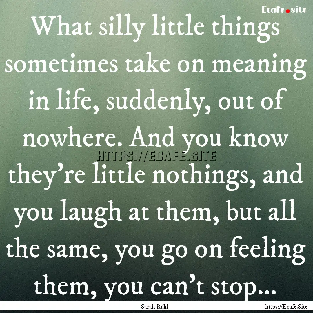 What silly little things sometimes take on.... : Quote by Sarah Ruhl