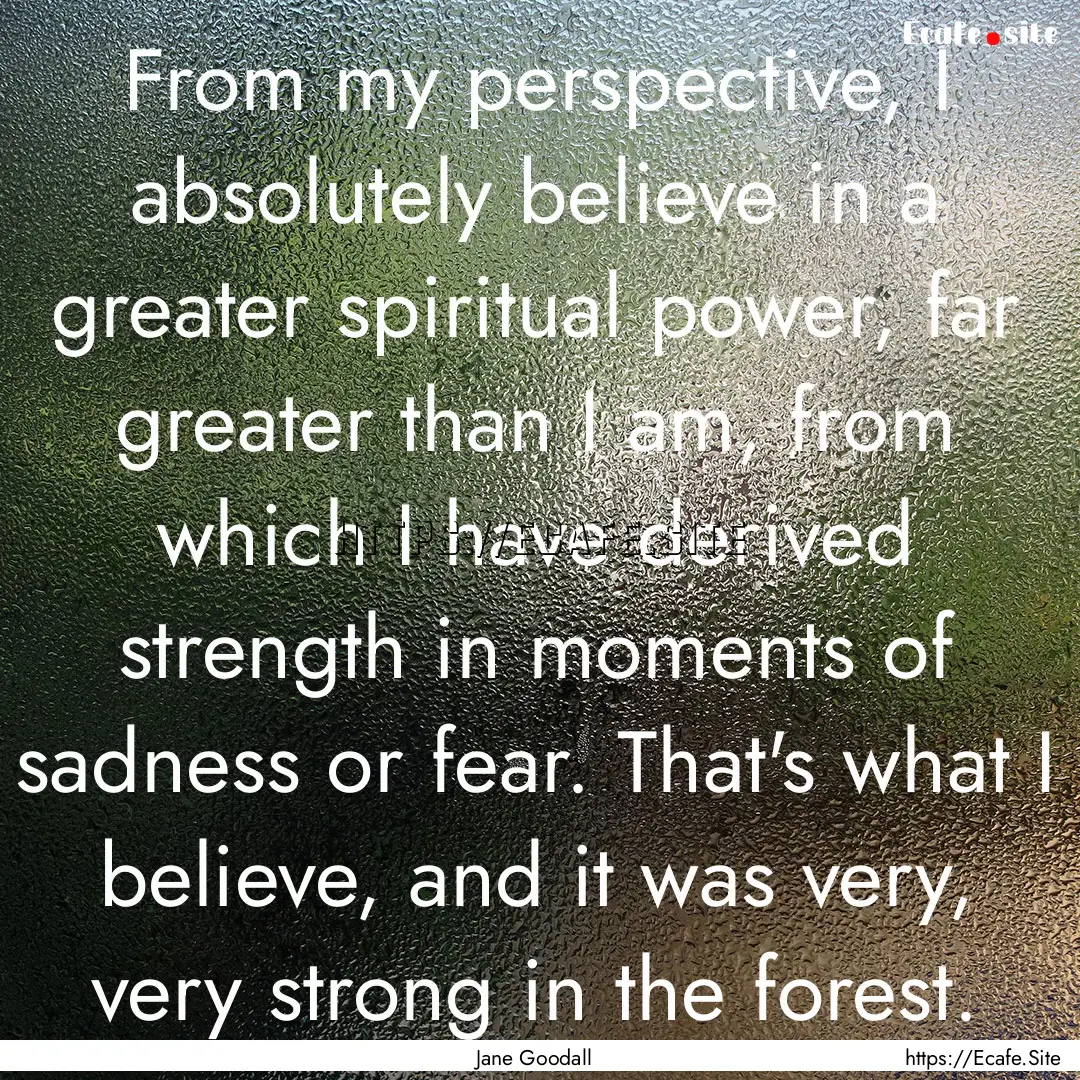 From my perspective, I absolutely believe.... : Quote by Jane Goodall