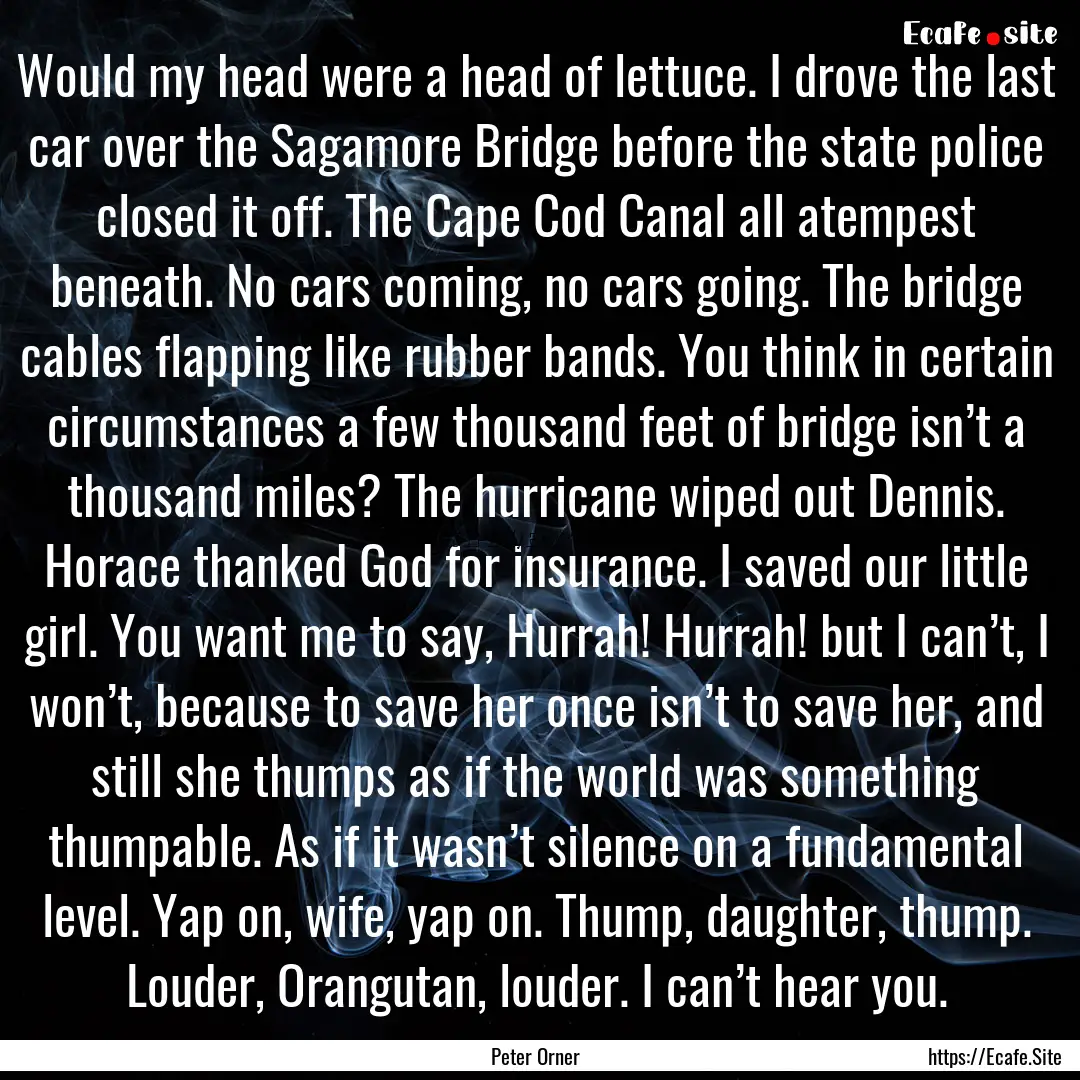 Would my head were a head of lettuce. I drove.... : Quote by Peter Orner