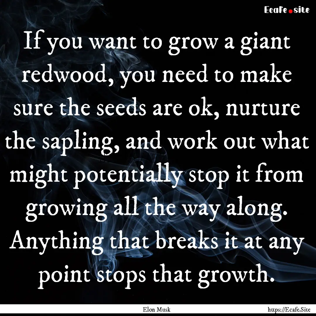 If you want to grow a giant redwood, you.... : Quote by Elon Musk