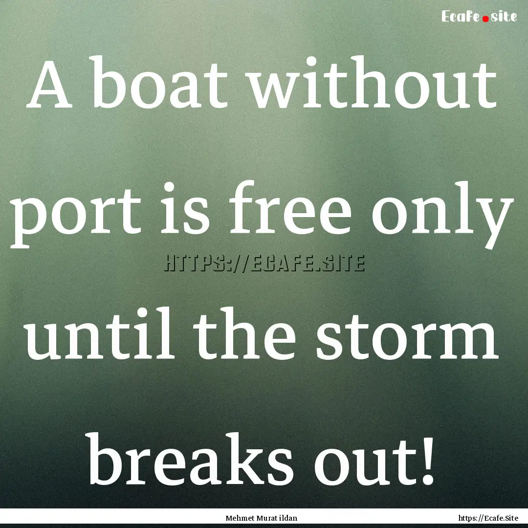 A boat without port is free only until the.... : Quote by Mehmet Murat ildan