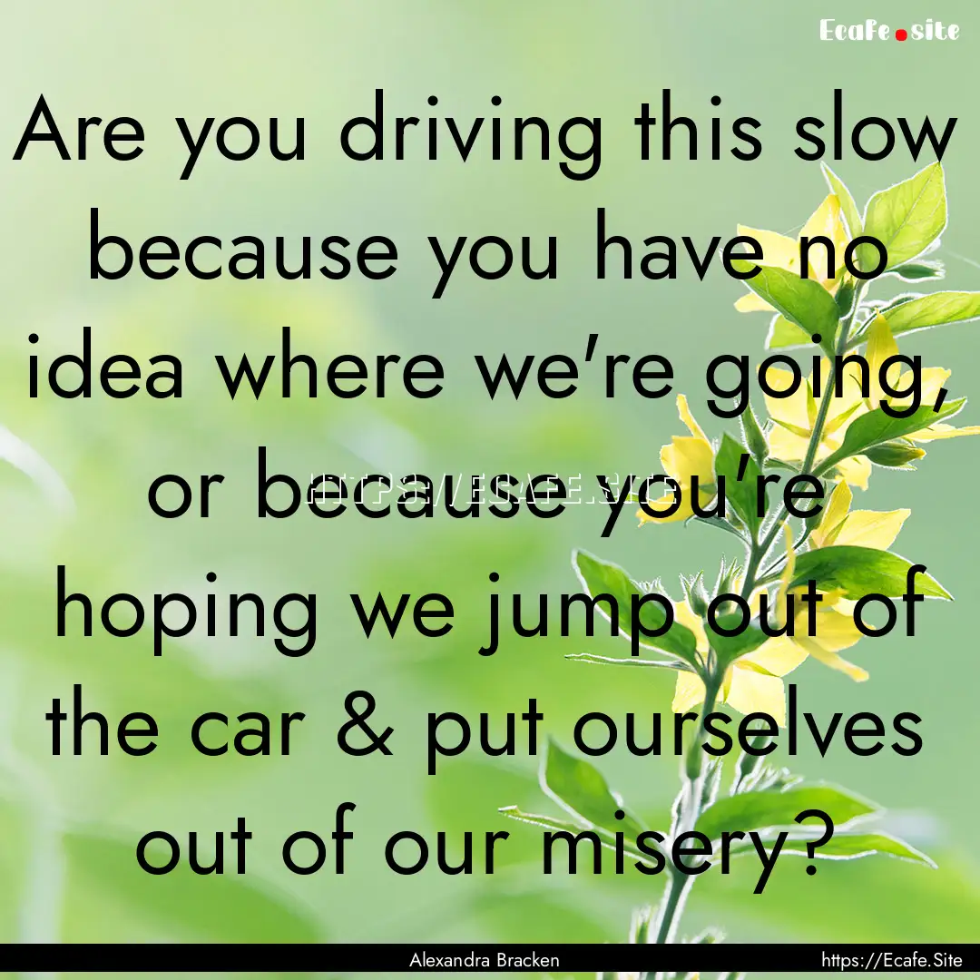 Are you driving this slow because you have.... : Quote by Alexandra Bracken