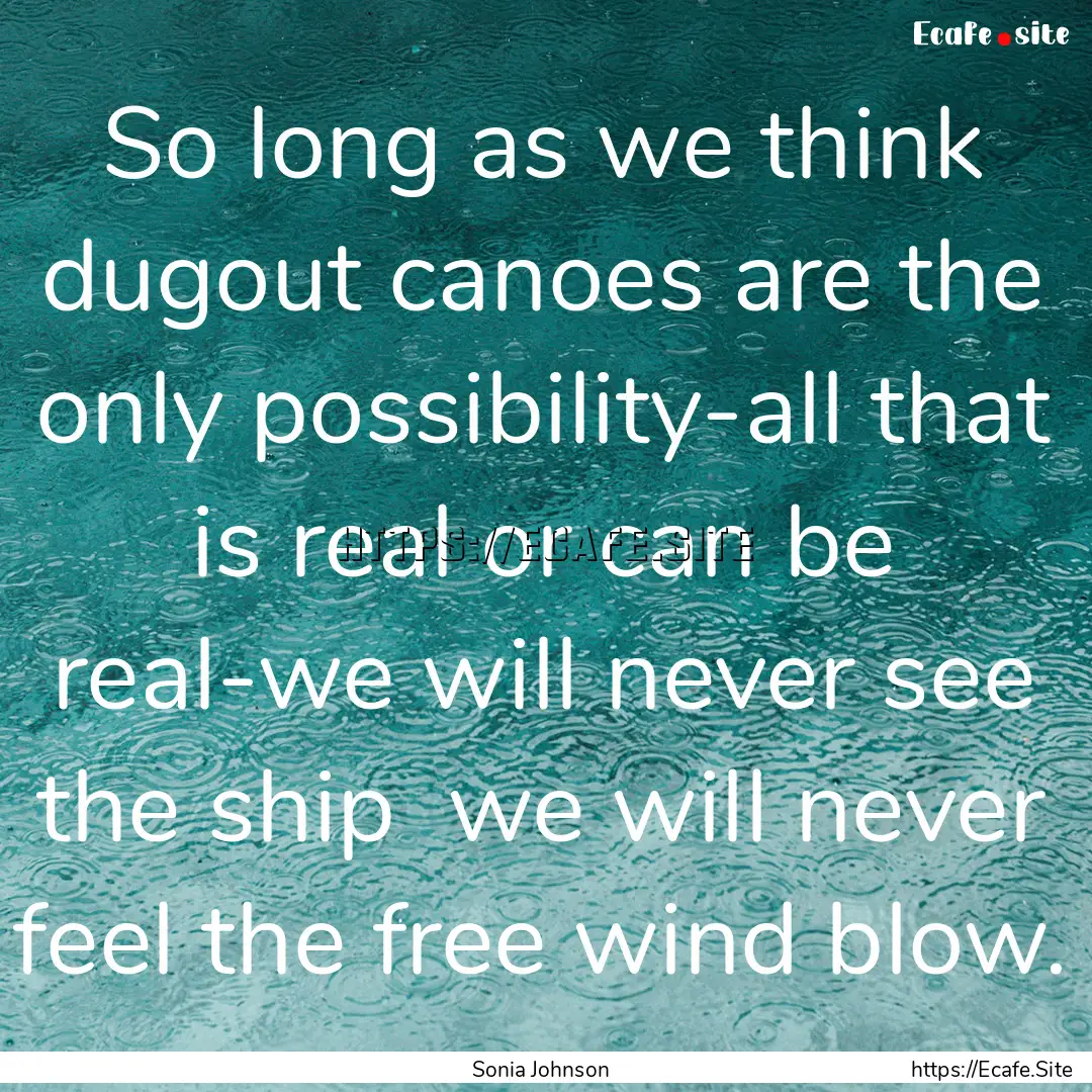 So long as we think dugout canoes are the.... : Quote by Sonia Johnson