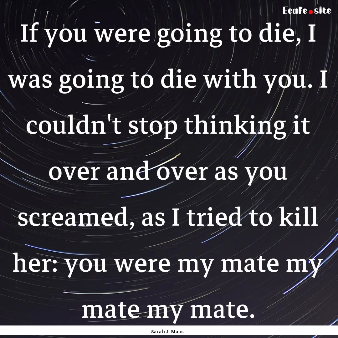 If you were going to die, I was going to.... : Quote by Sarah J. Maas