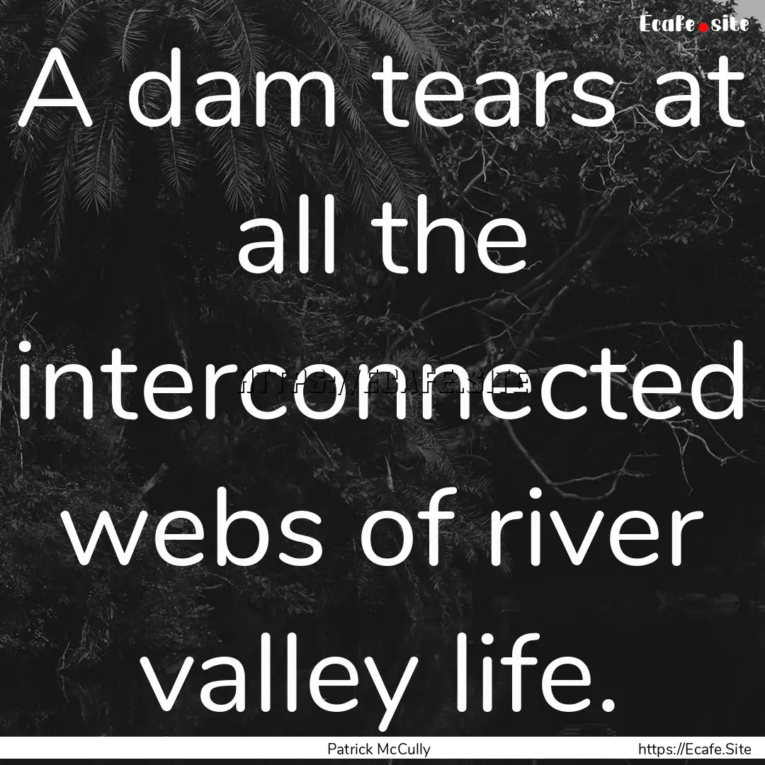 A dam tears at all the interconnected webs.... : Quote by Patrick McCully