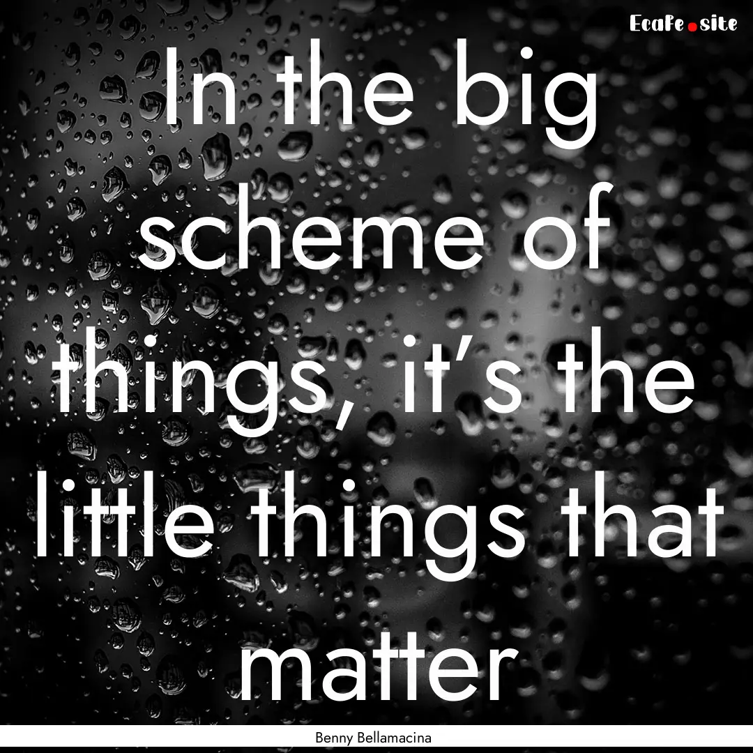 In the big scheme of things, it’s the little.... : Quote by Benny Bellamacina