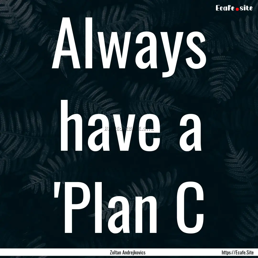 Always have a 'Plan C : Quote by Zoltan Andrejkovics