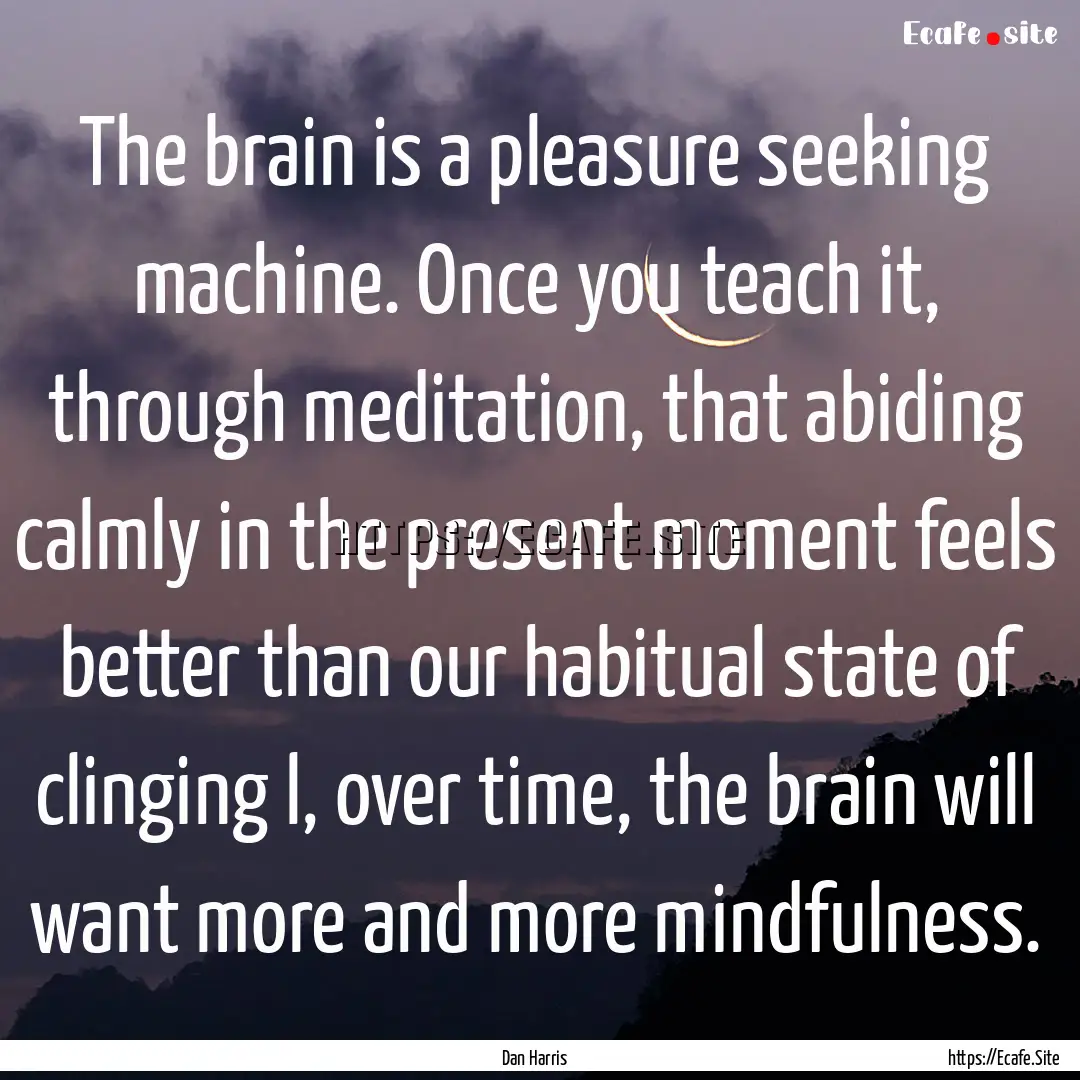 The brain is a pleasure seeking machine..... : Quote by Dan Harris