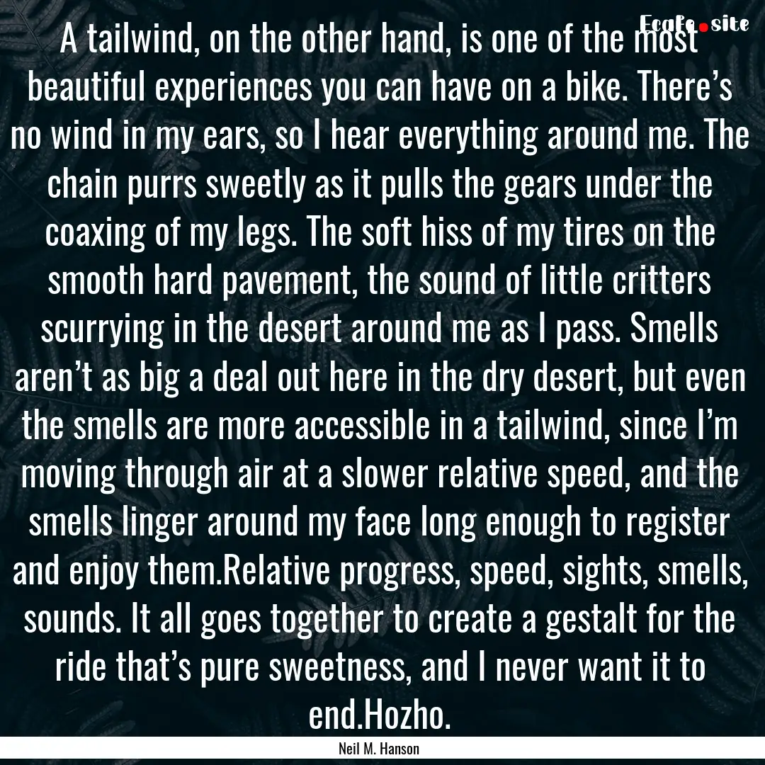 A tailwind, on the other hand, is one of.... : Quote by Neil M. Hanson