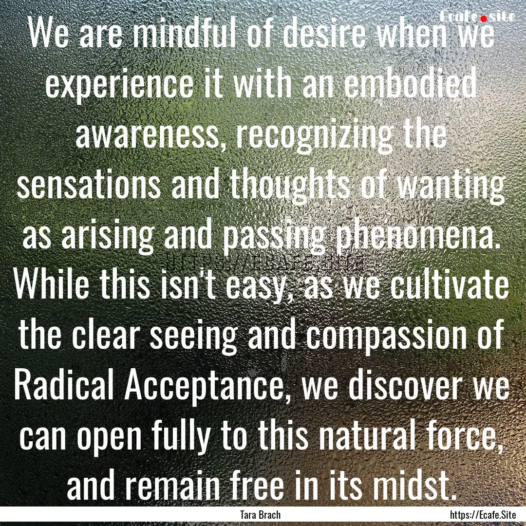 We are mindful of desire when we experience.... : Quote by Tara Brach