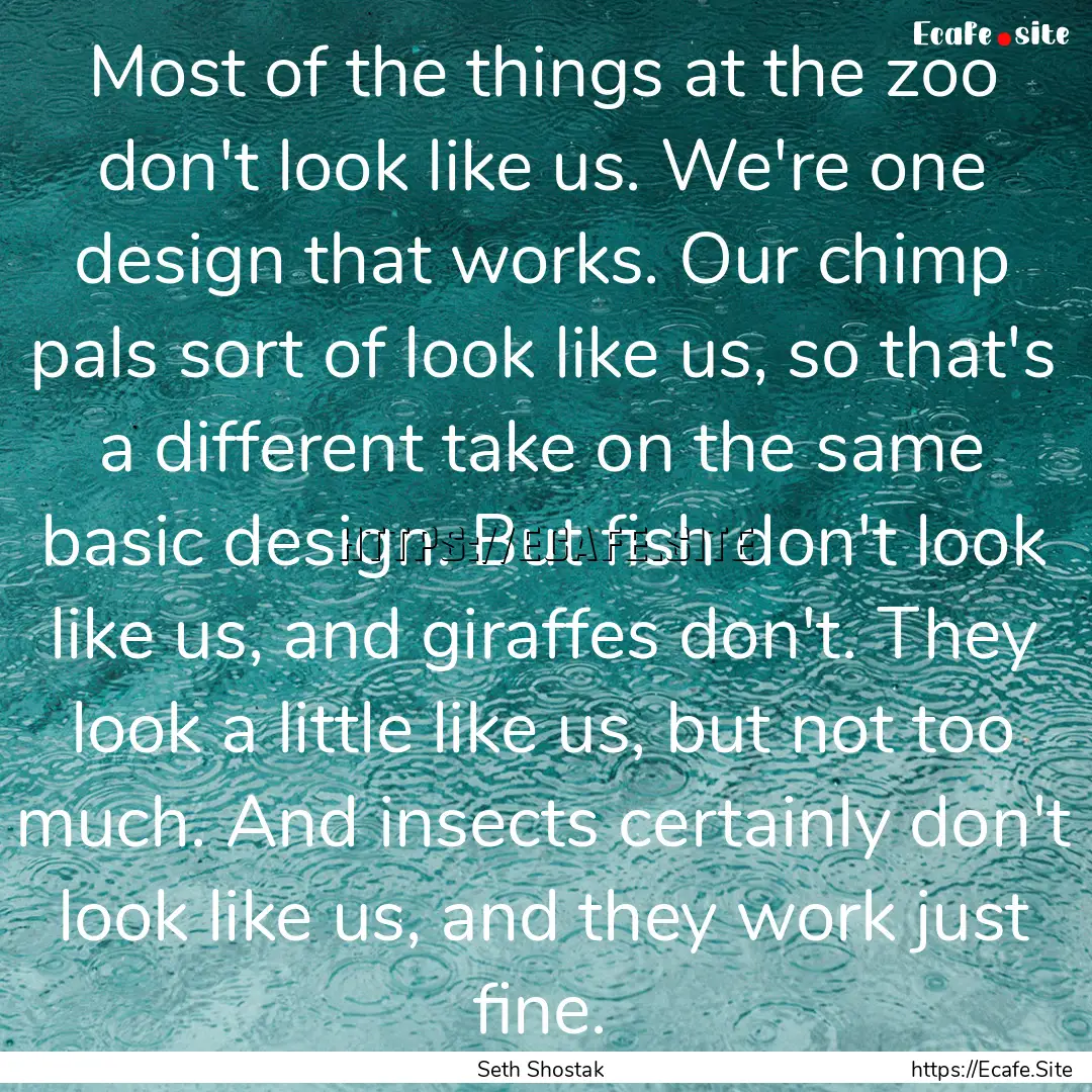 Most of the things at the zoo don't look.... : Quote by Seth Shostak