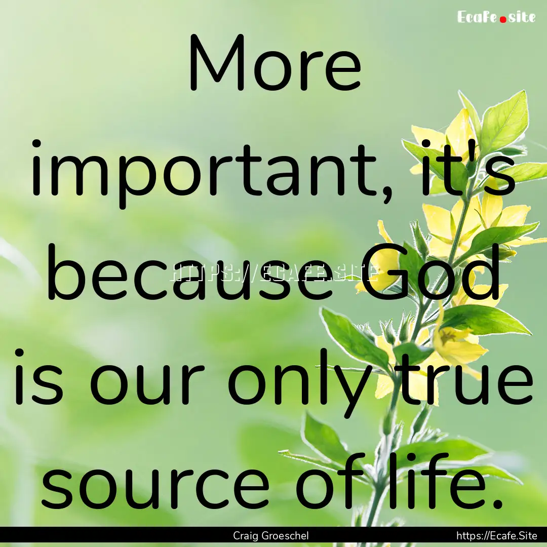 More important, it's because God is our only.... : Quote by Craig Groeschel