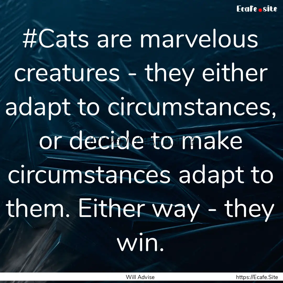 #Cats are marvelous creatures - they either.... : Quote by Will Advise