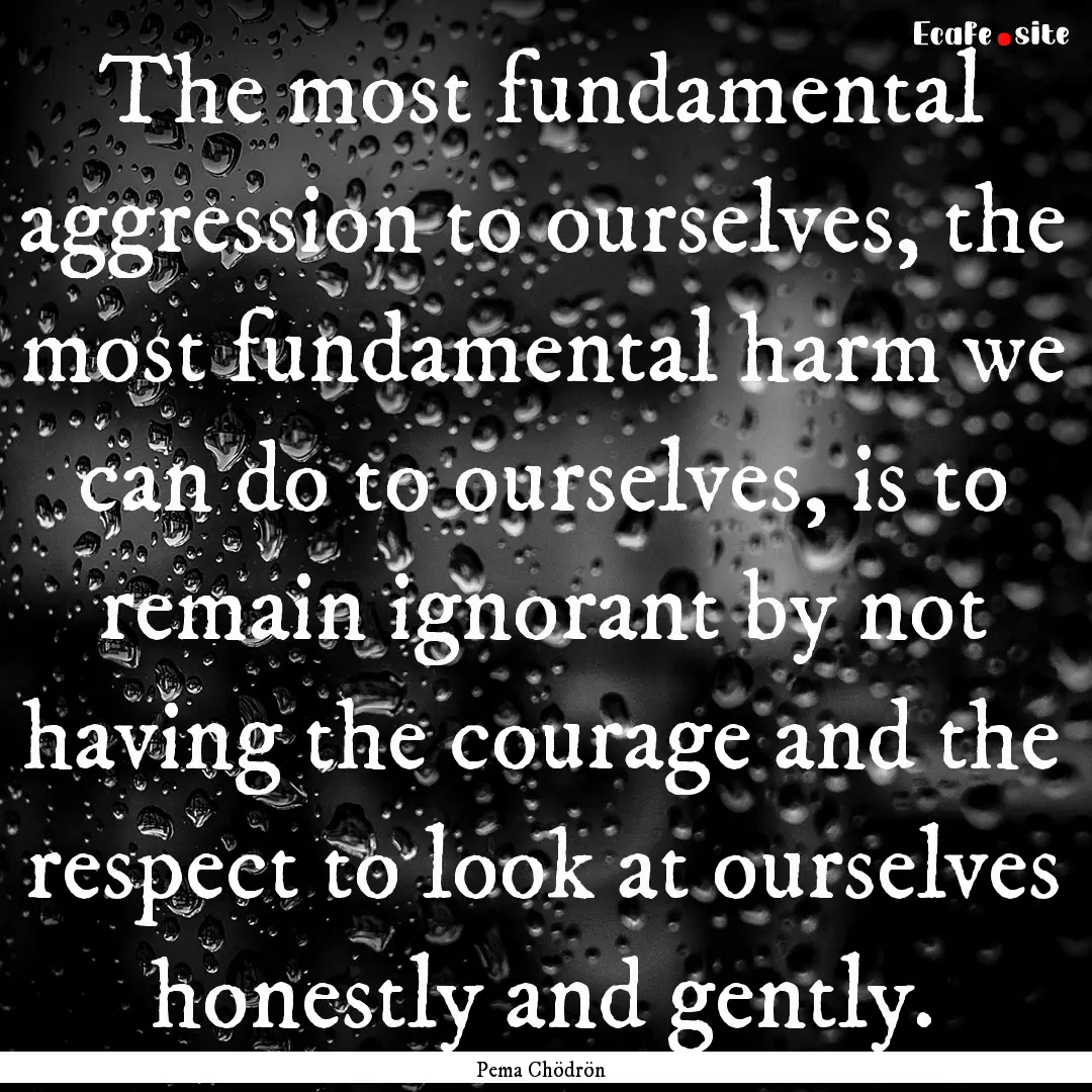 The most fundamental aggression to ourselves,.... : Quote by Pema Chödrön