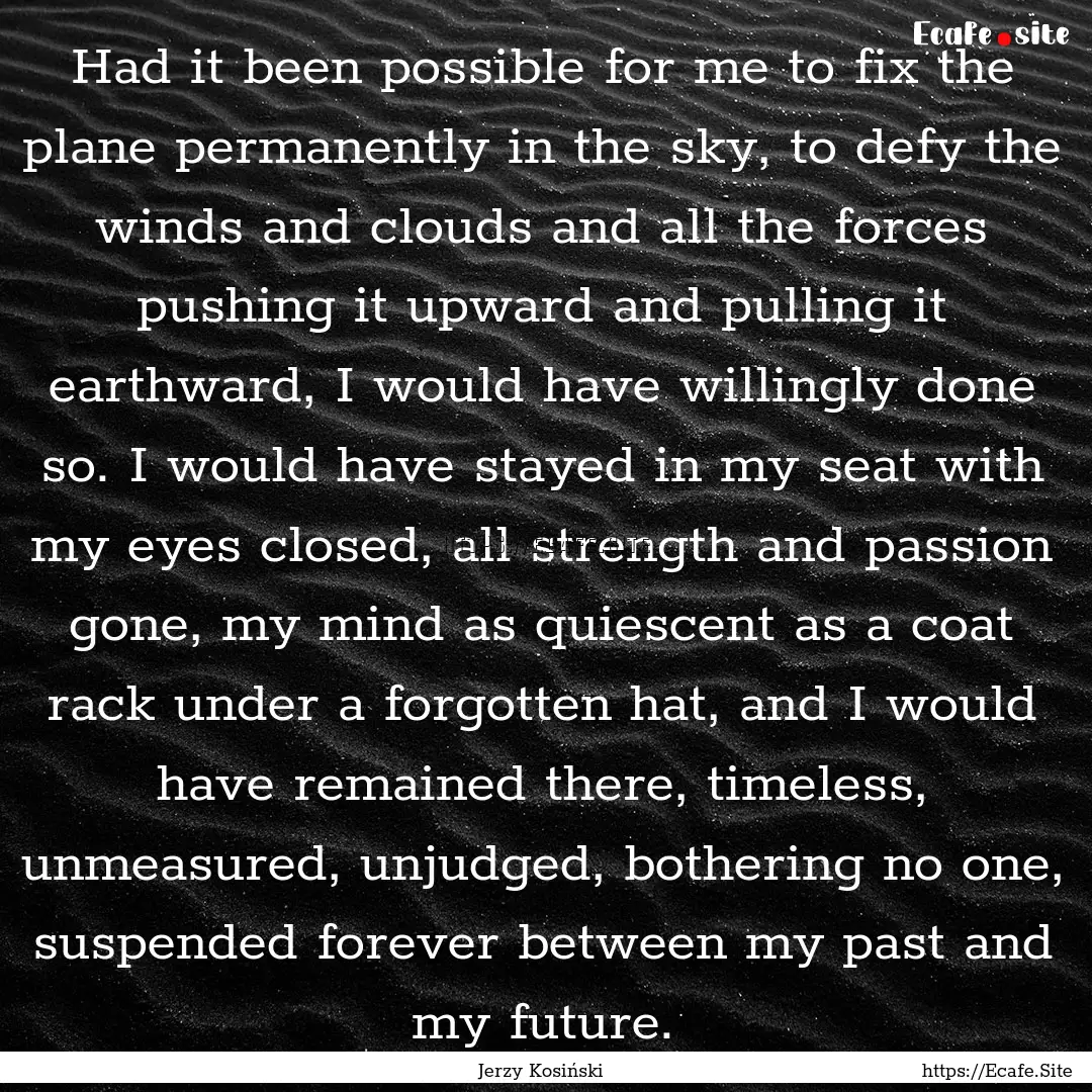 Had it been possible for me to fix the plane.... : Quote by Jerzy Kosiński