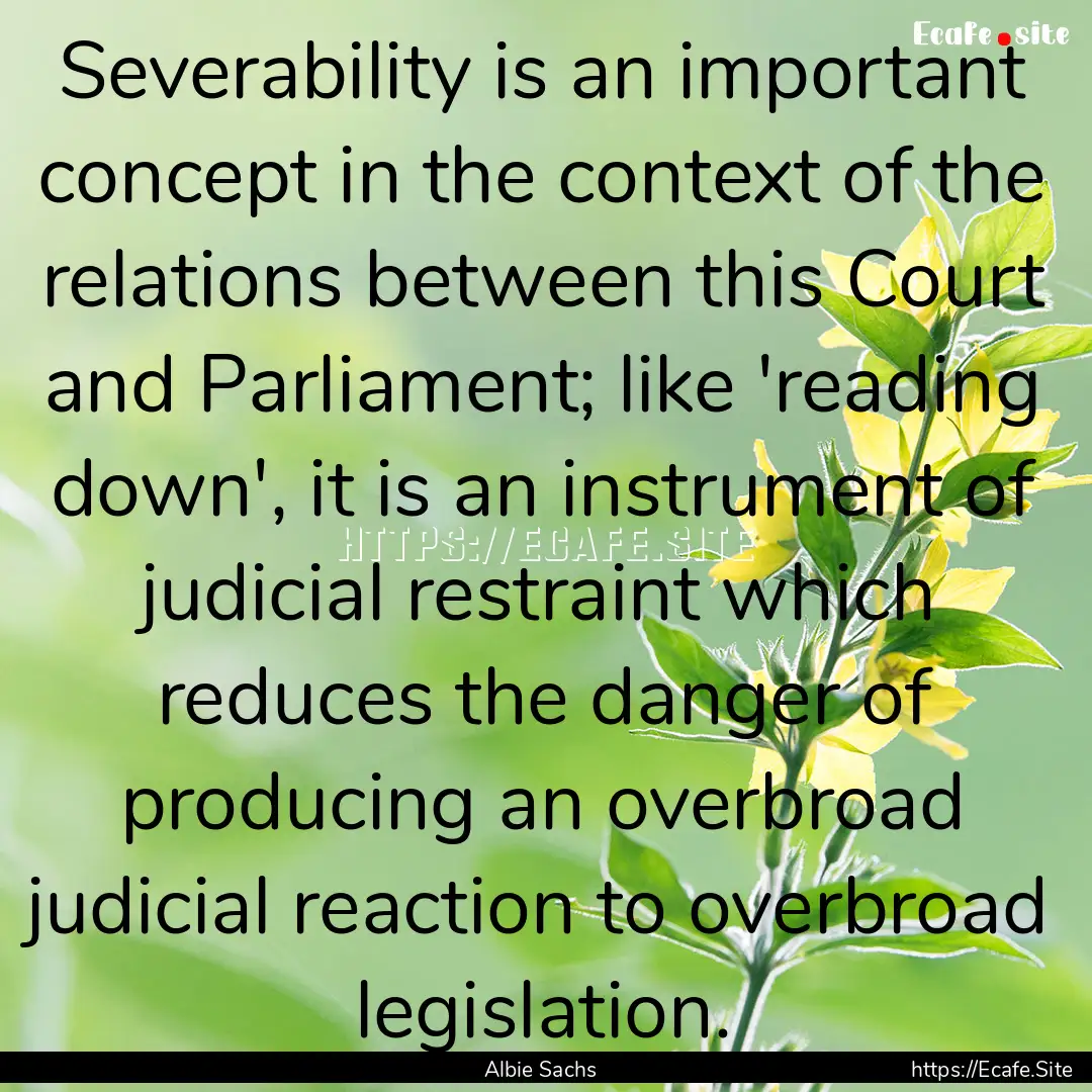 Severability is an important concept in the.... : Quote by Albie Sachs