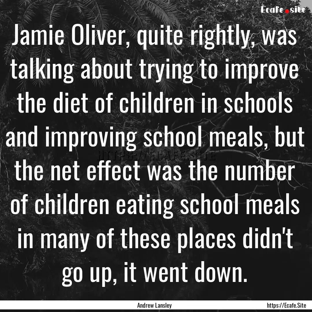 Jamie Oliver, quite rightly, was talking.... : Quote by Andrew Lansley