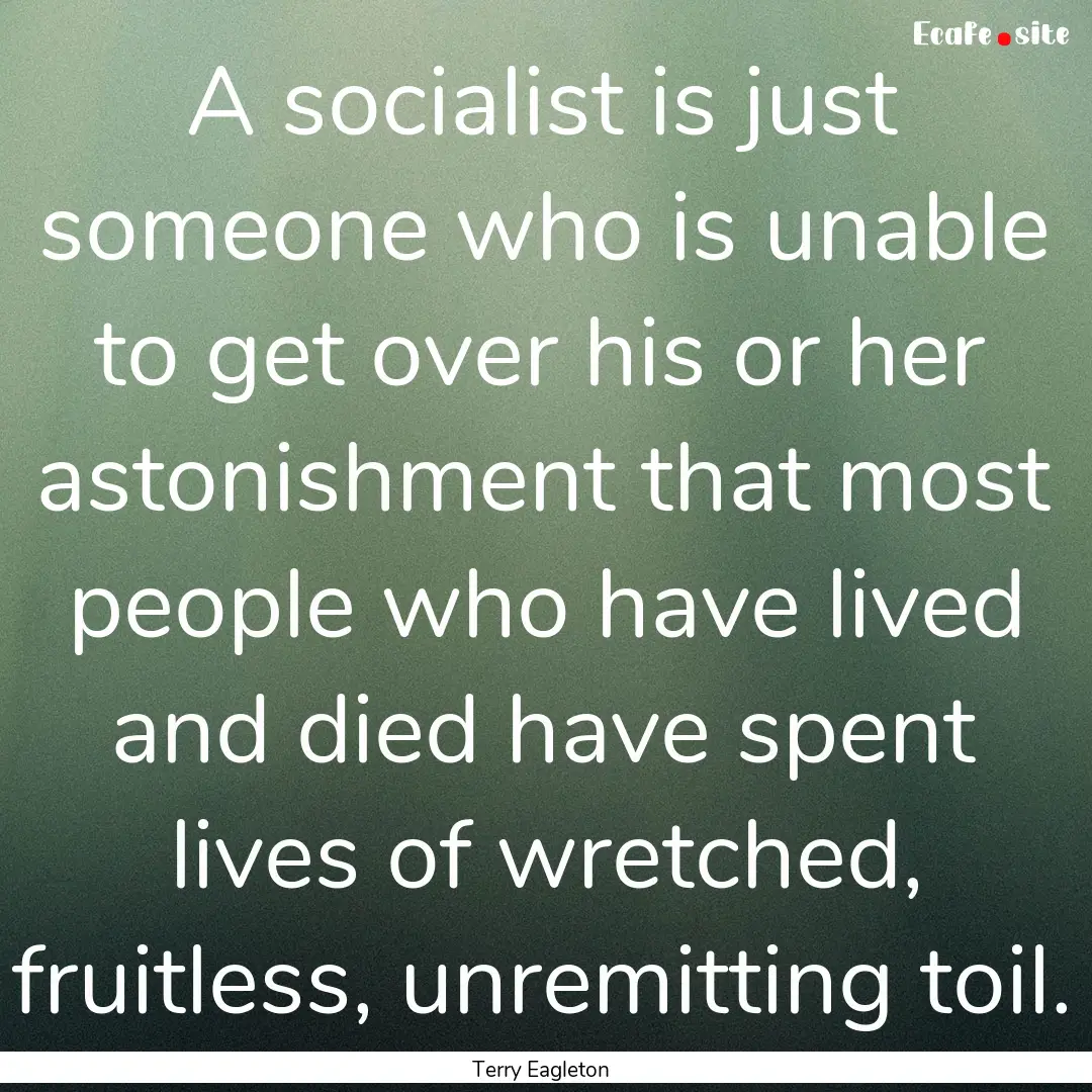 A socialist is just someone who is unable.... : Quote by Terry Eagleton